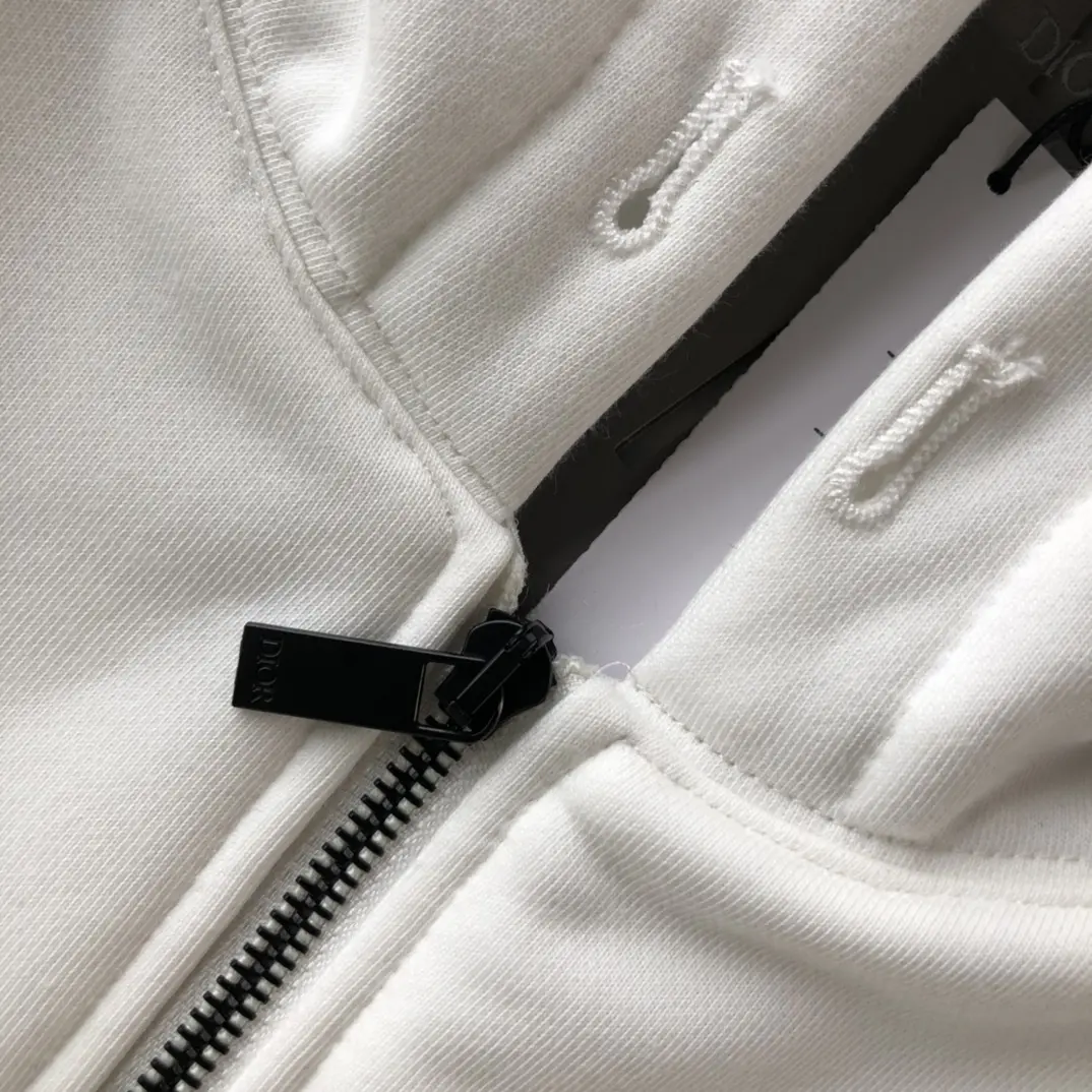 Dior 2022FW fashion hooded jacket