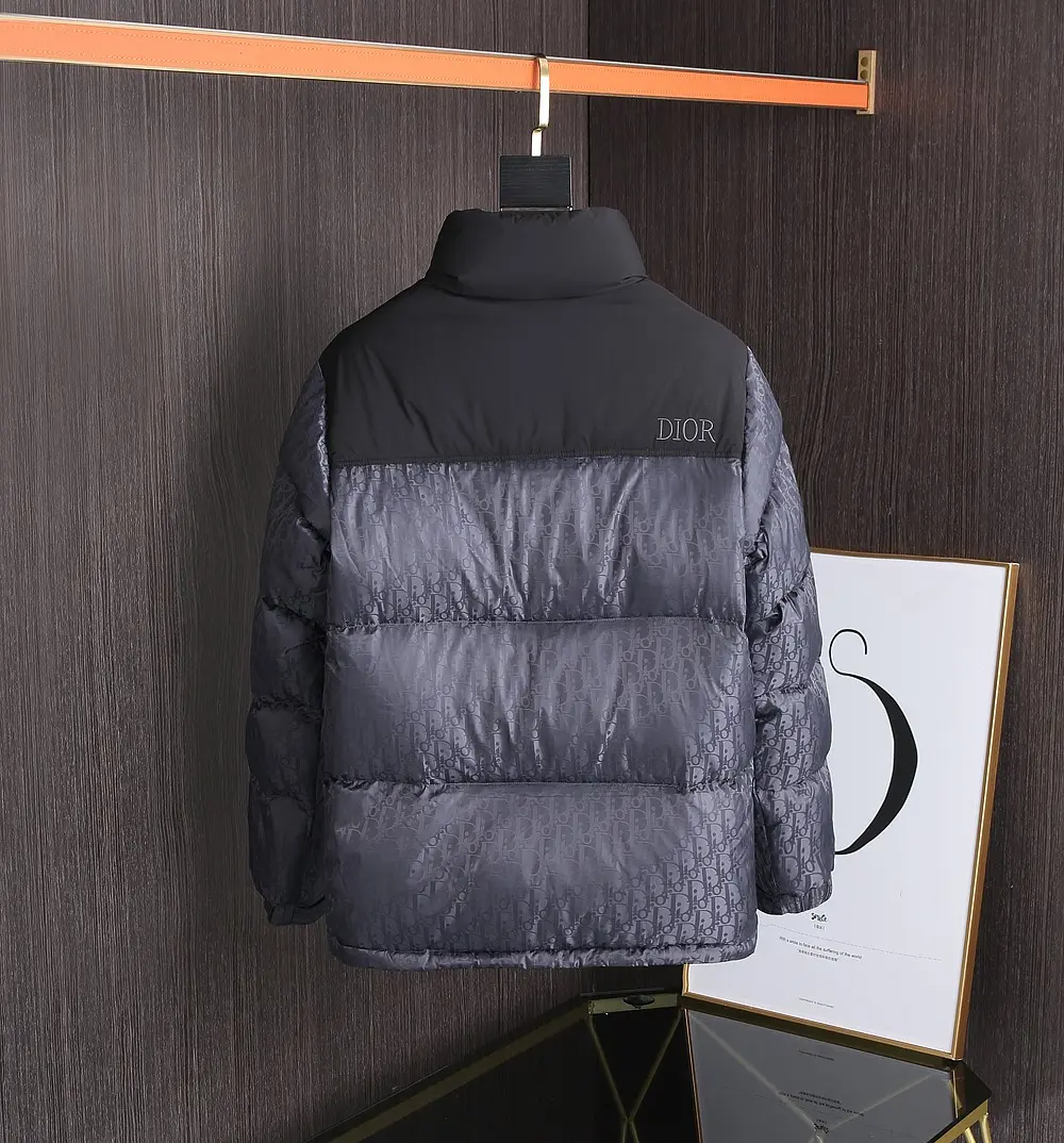 Dior 2022 new  oblique down jacket in grey