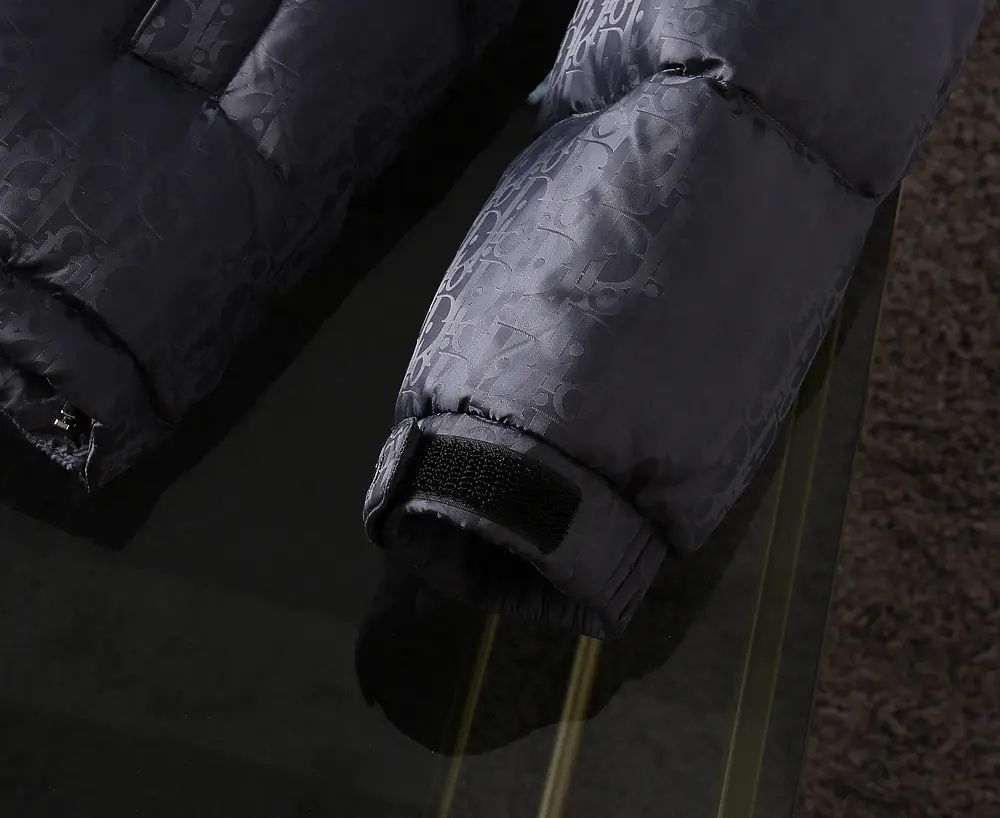 Dior 2022 new  oblique down jacket in grey