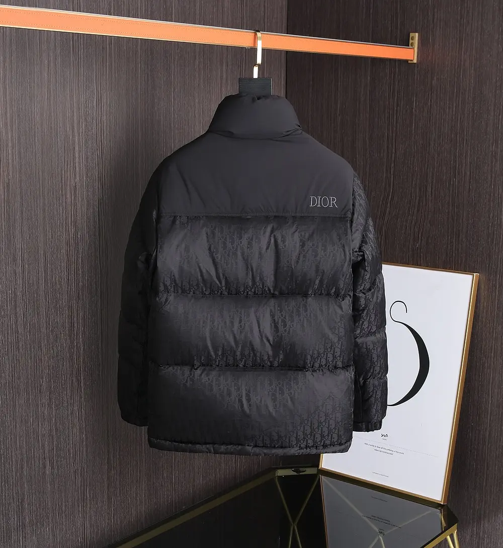 Dior 2022 new  oblique down jacket in black