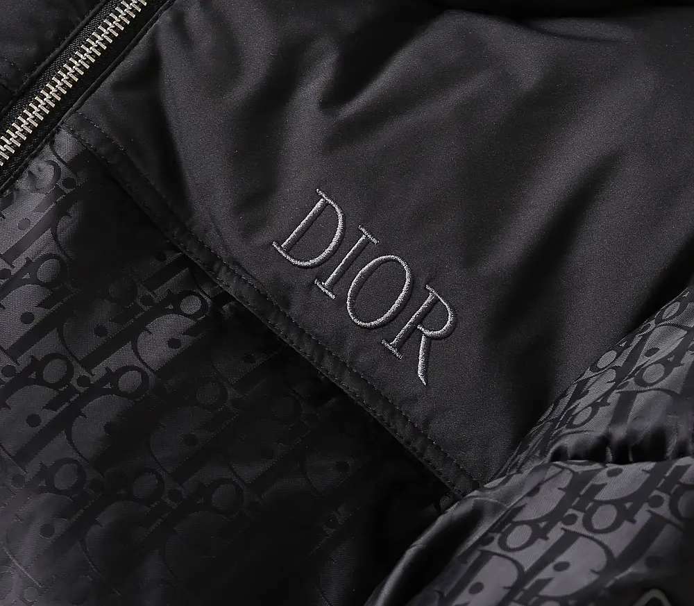 Dior 2022 new  oblique down jacket in black