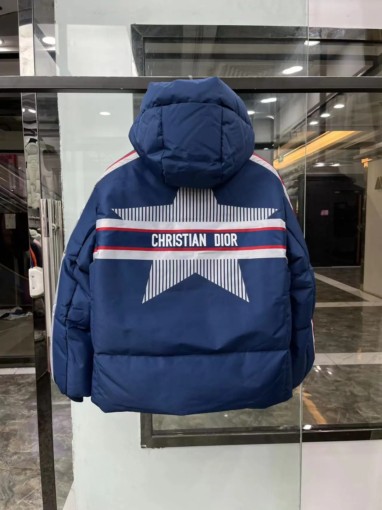 Dior 2022 new  alps down jacket in blue