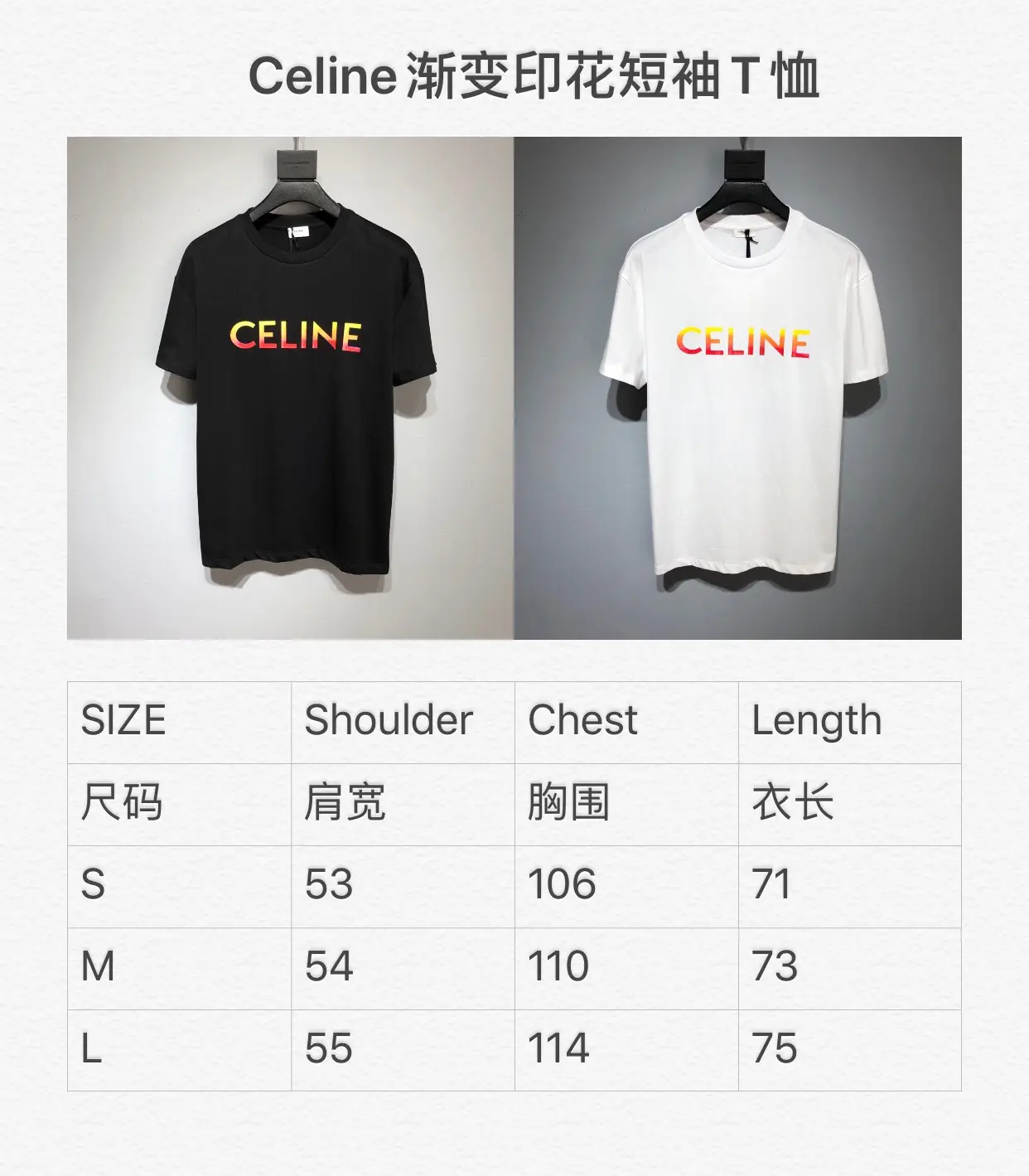 CELINE 2022SS new arrival T-shirt in white