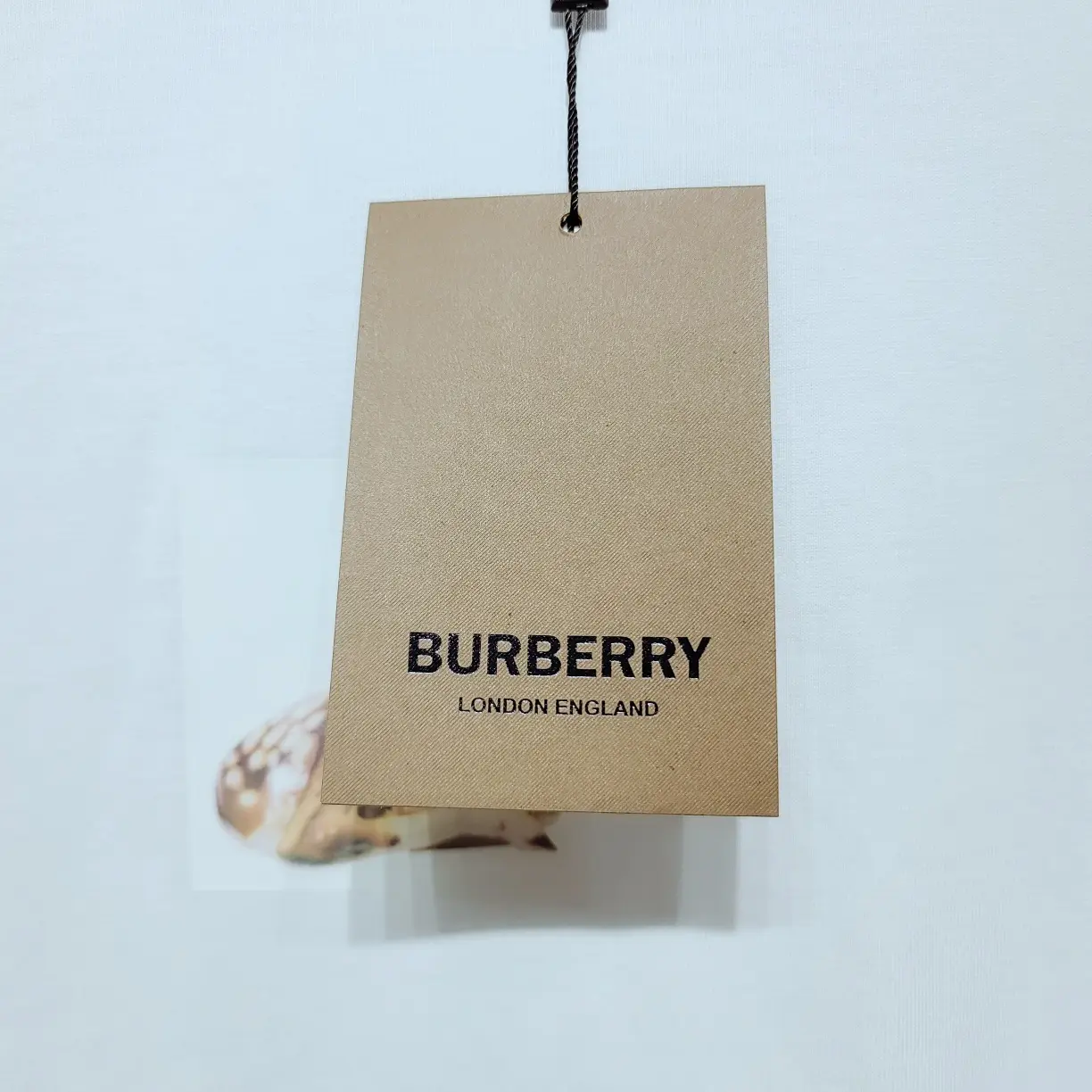 BURBERRY 2022ss new T-shirt in white