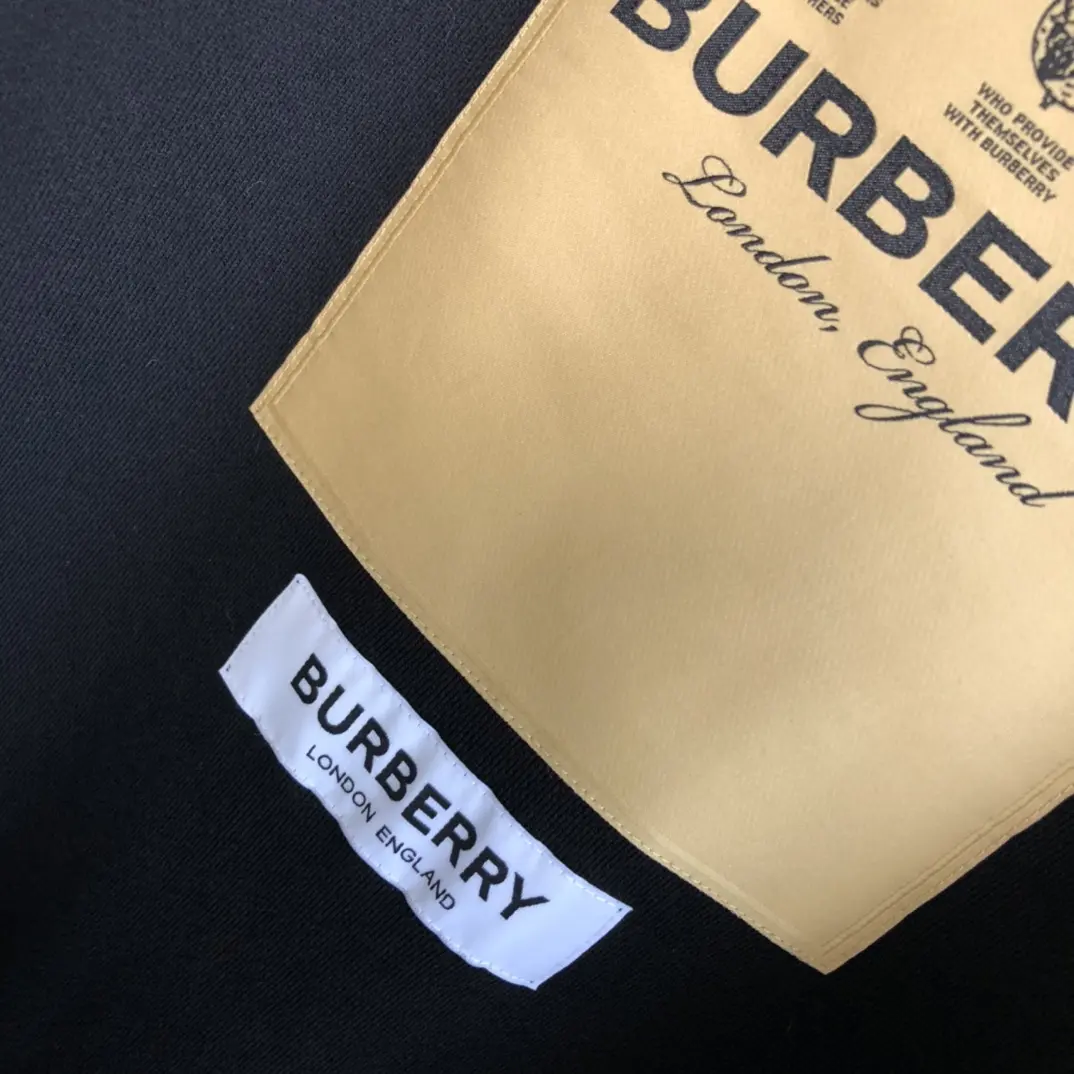 Burberry 2022FW fahion hoodies