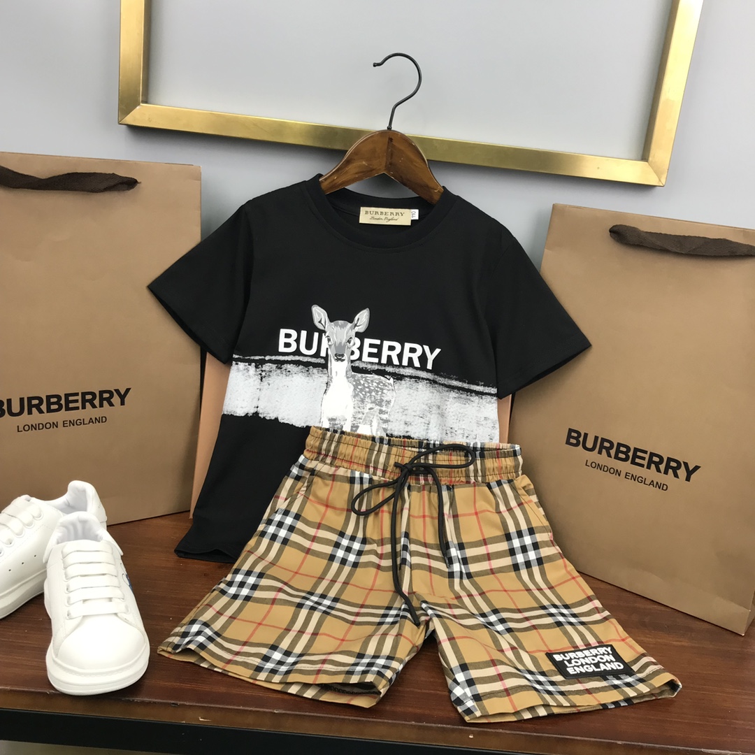 Burberry 2022 New T-Shirt and Shorts Set