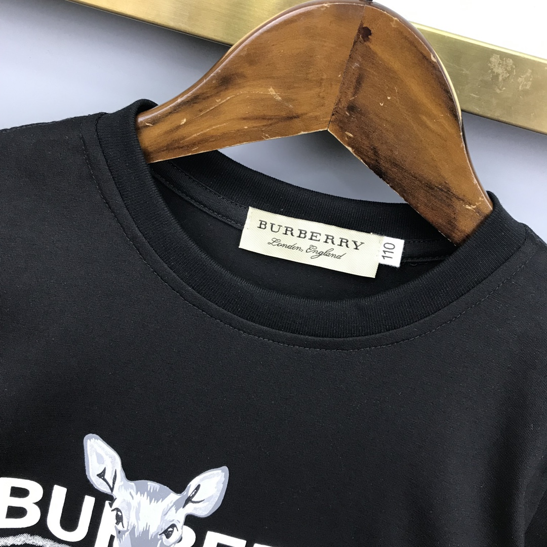 Burberry 2022 New T-Shirt and Shorts Set