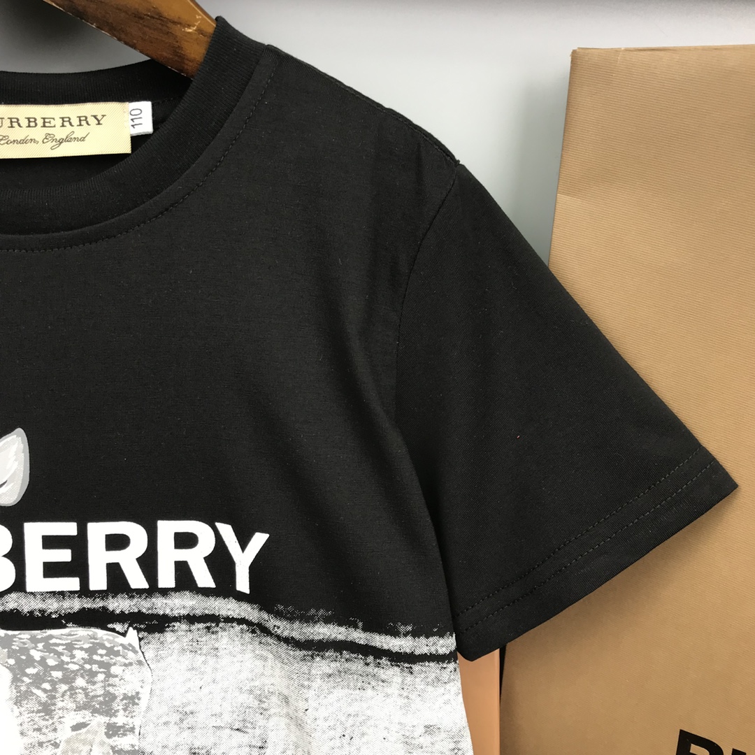 Burberry 2022 New T-Shirt and Shorts Set