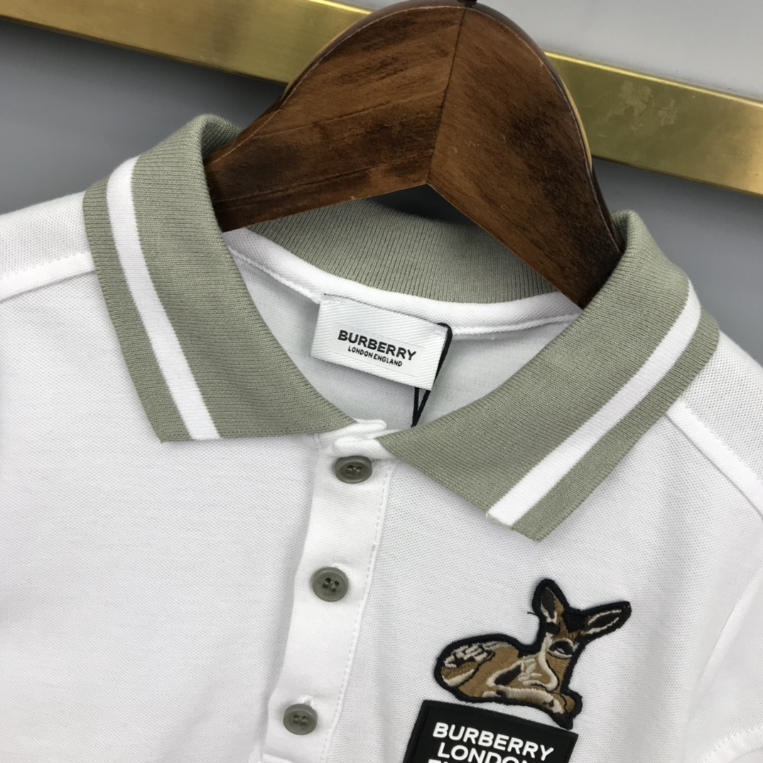 Burberry 2022 New Polo Shirt and Shorts Set