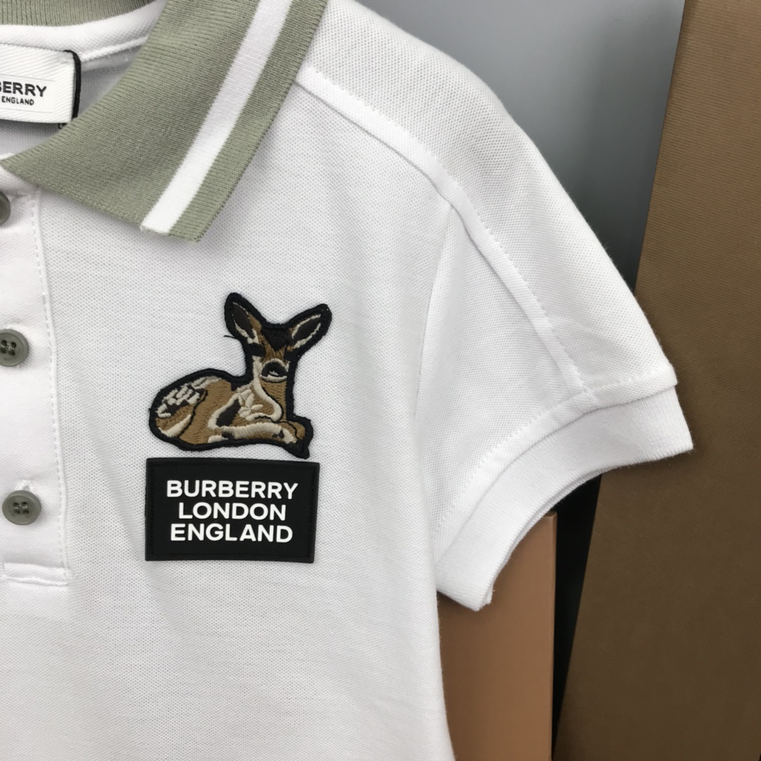 Burberry 2022 New Polo Shirt and Shorts Set