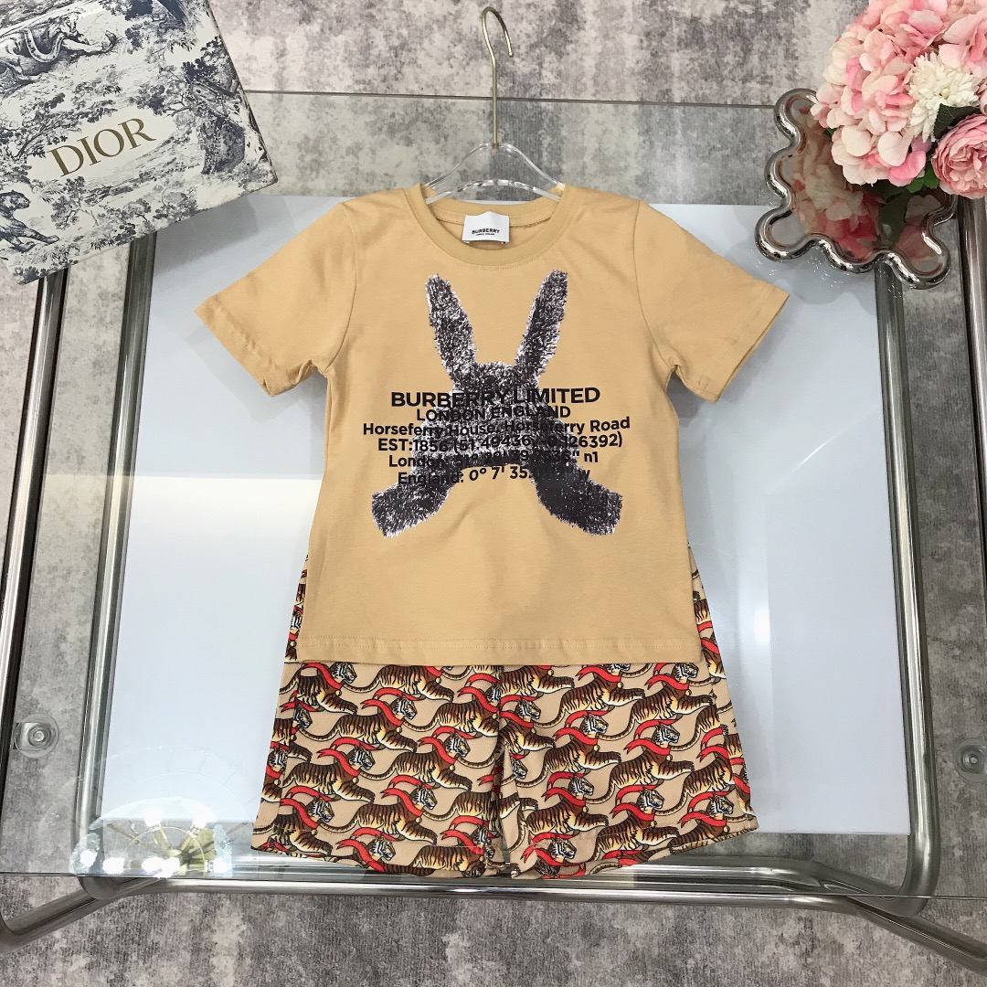 Burberry 2022 New Children T-Shirt and Shorts Set