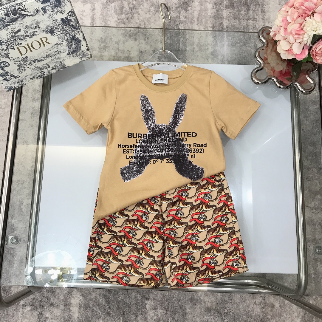 Burberry 2022 New Children T-Shirt and Shorts Set