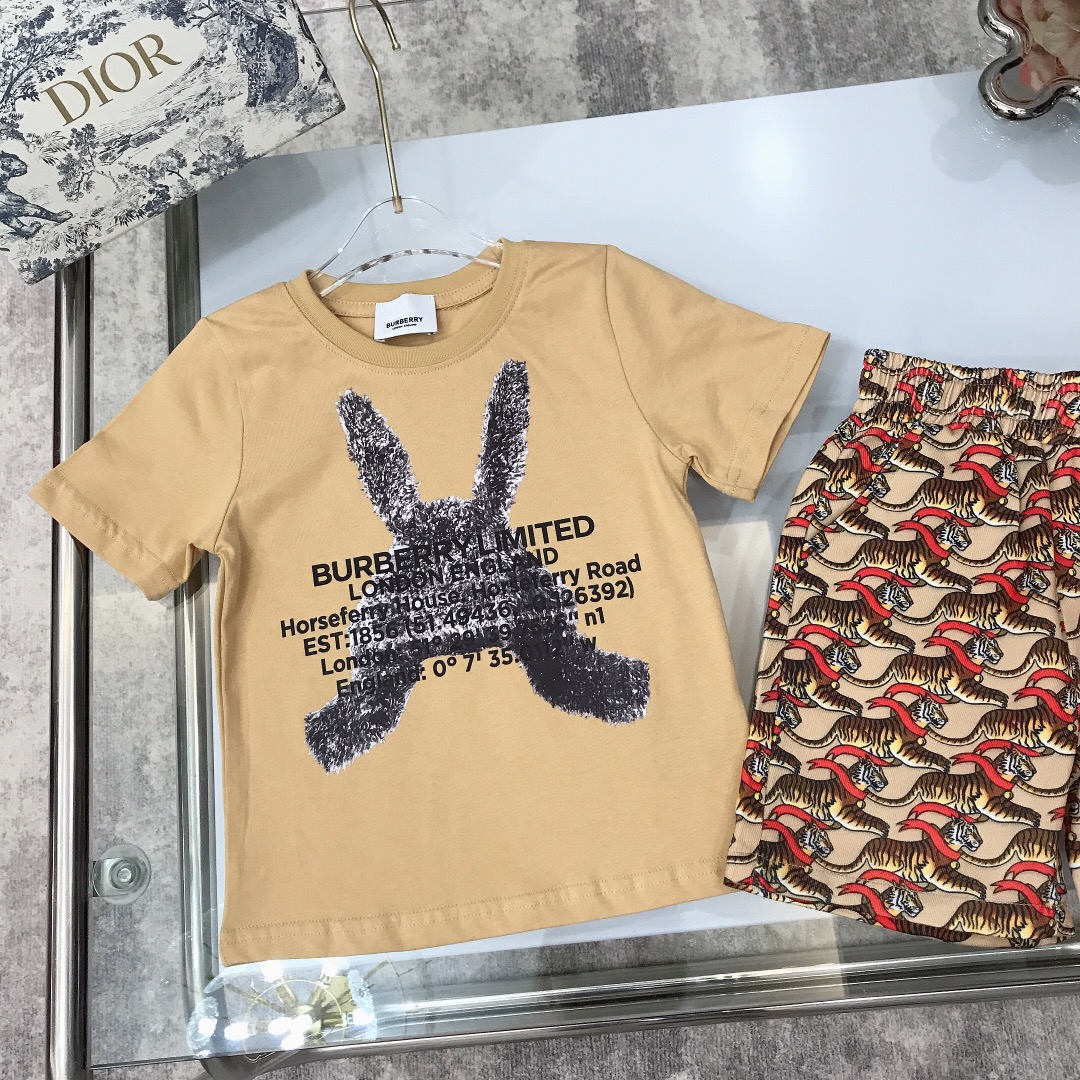 Burberry 2022 New Children T-Shirt and Shorts Set