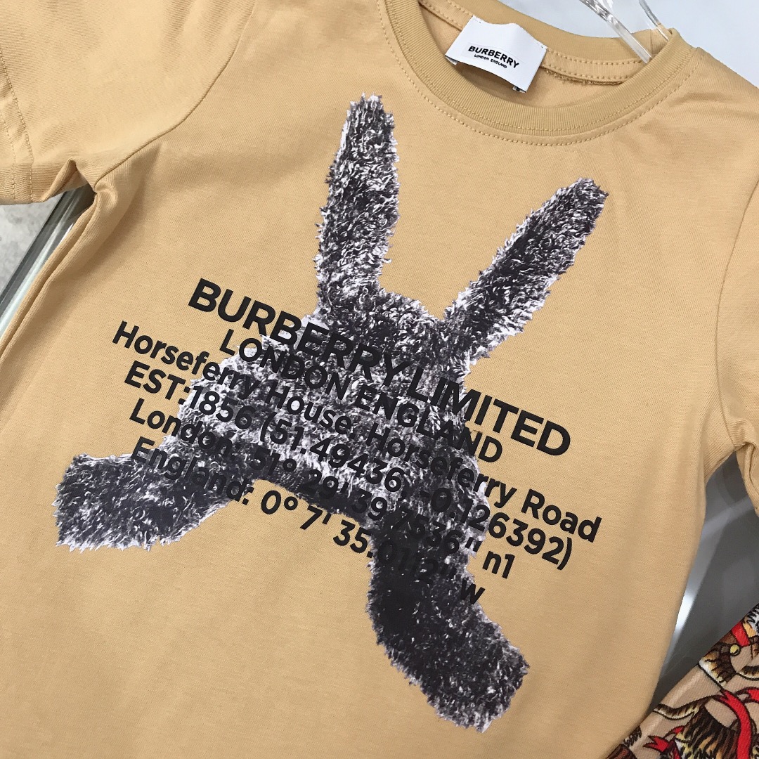 Burberry 2022 New Children T-Shirt and Shorts Set