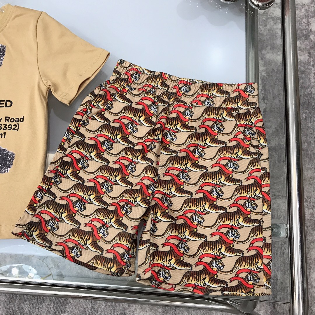 Burberry 2022 New Children T-Shirt and Shorts Set