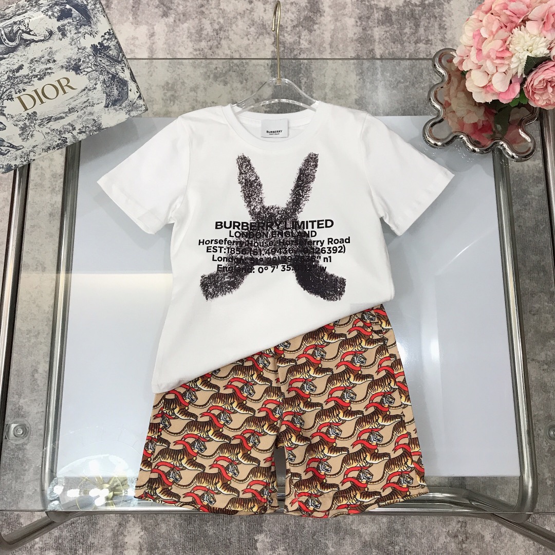 Burberry 2022 New Children T-Shirt and Shorts Set