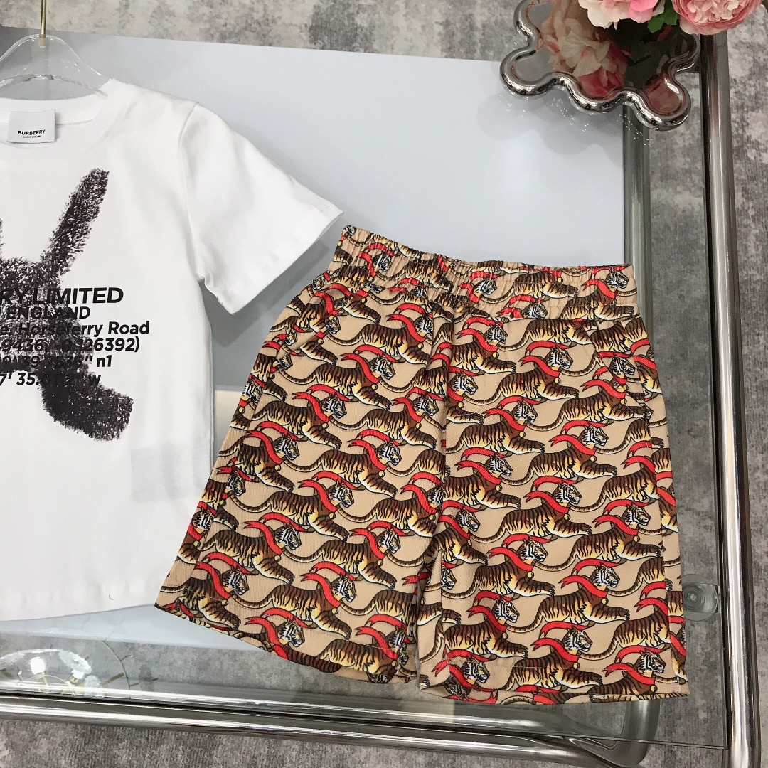 Burberry 2022 New Children T-Shirt and Shorts Set