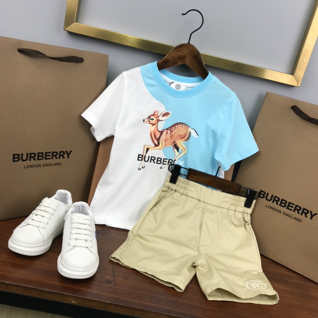 Burberry 2022 New Children T-shirt and Shorts Set