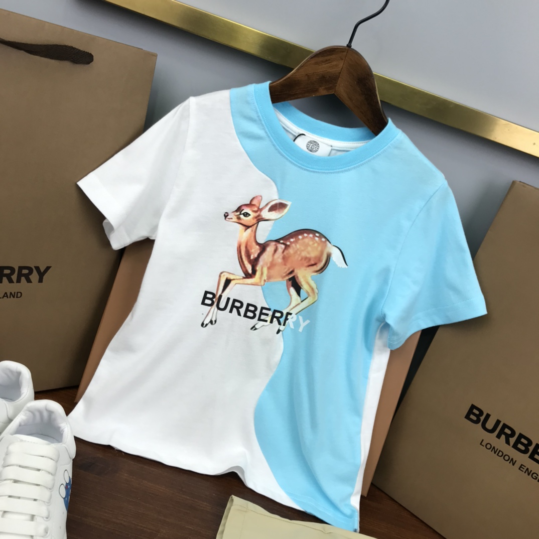 Burberry 2022 New Children T-shirt and Shorts Set