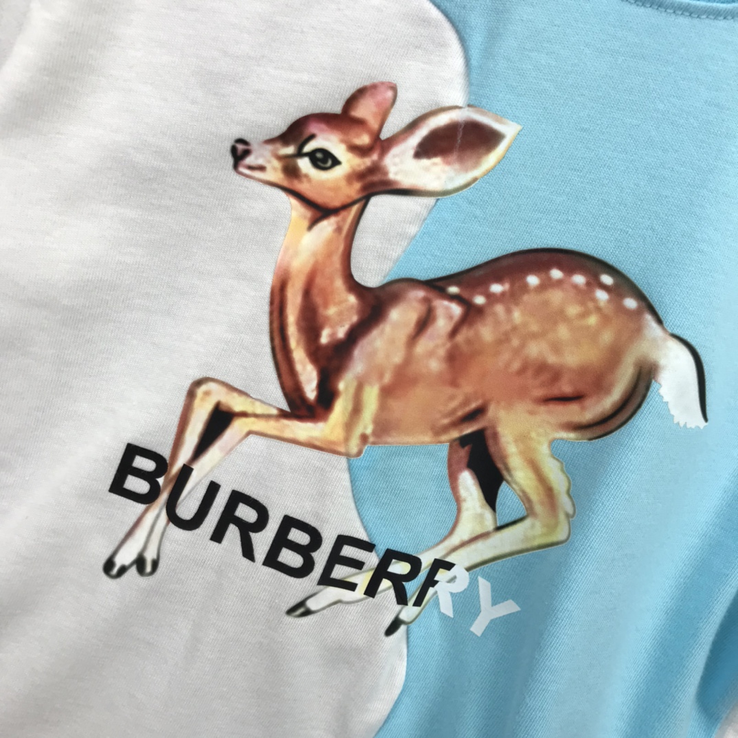 Burberry 2022 New Children T-shirt and Shorts Set