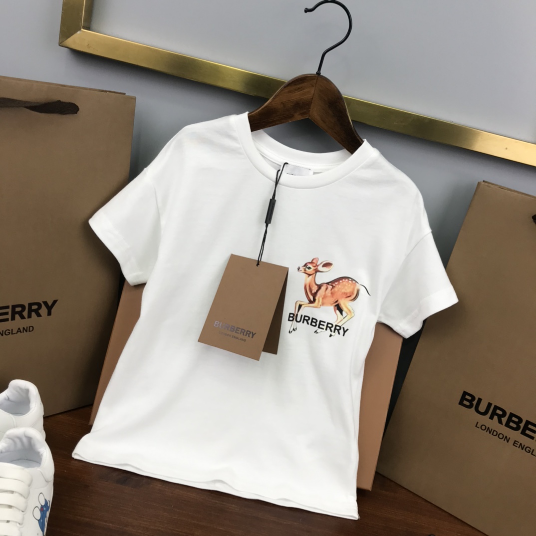 Burberry 2022 New Children T-shirt and Shorts Set