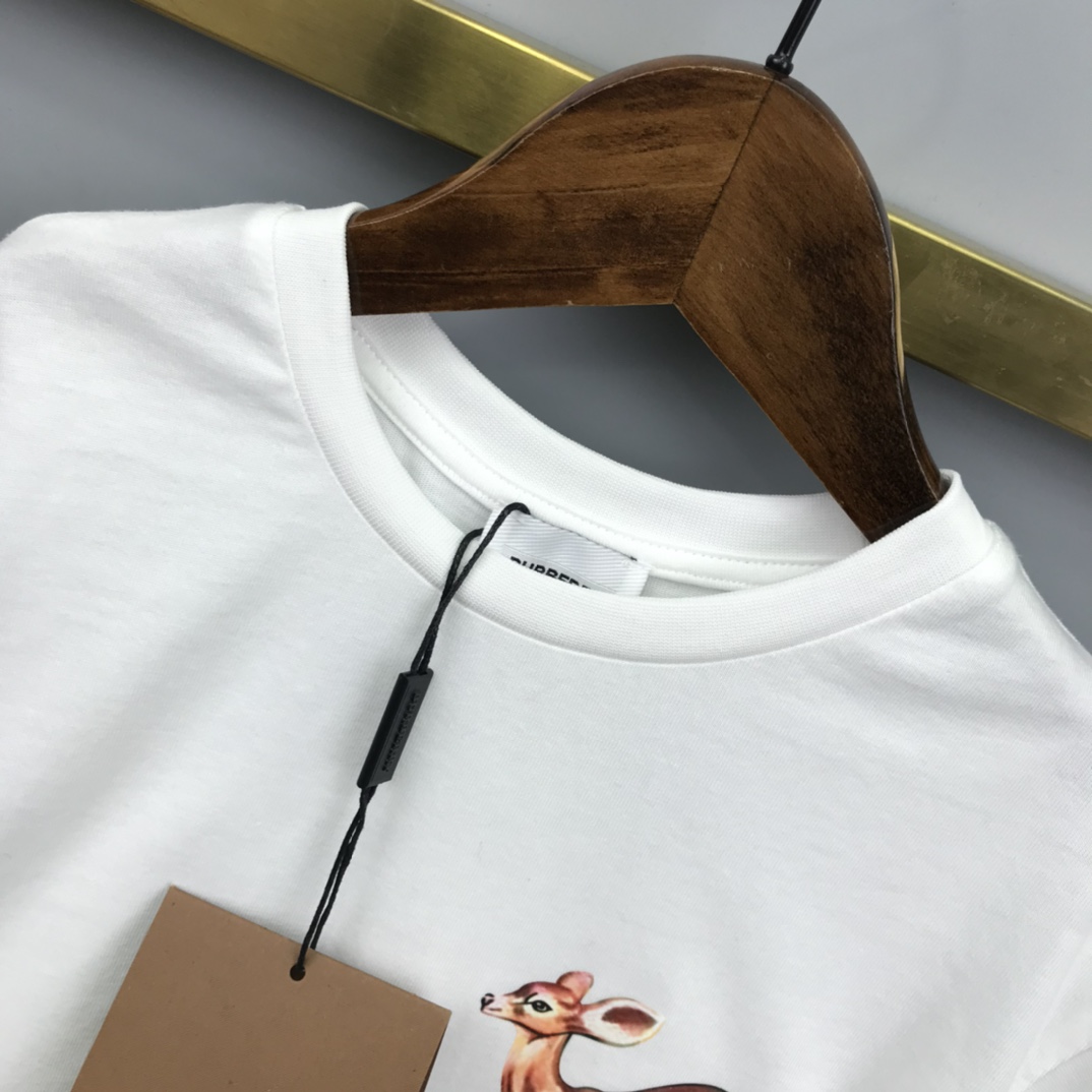 Burberry 2022 New Children T-shirt and Shorts Set