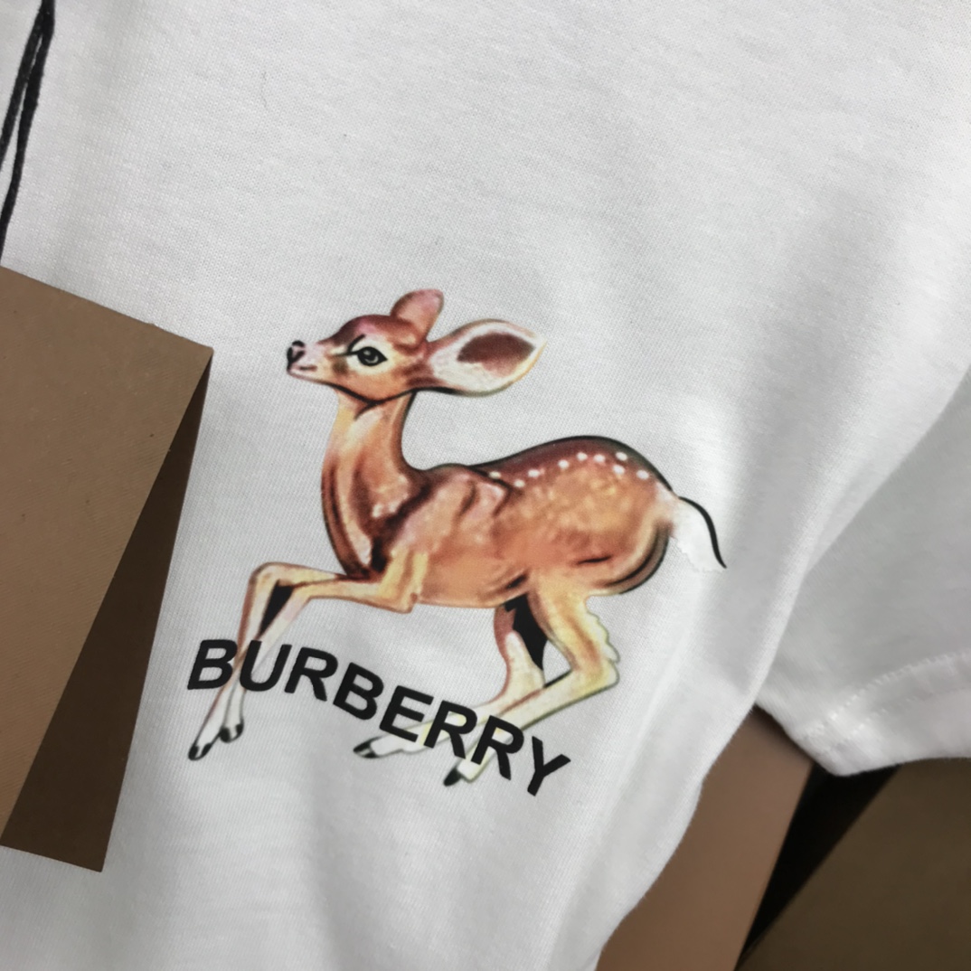 Burberry 2022 New Children T-shirt and Shorts Set