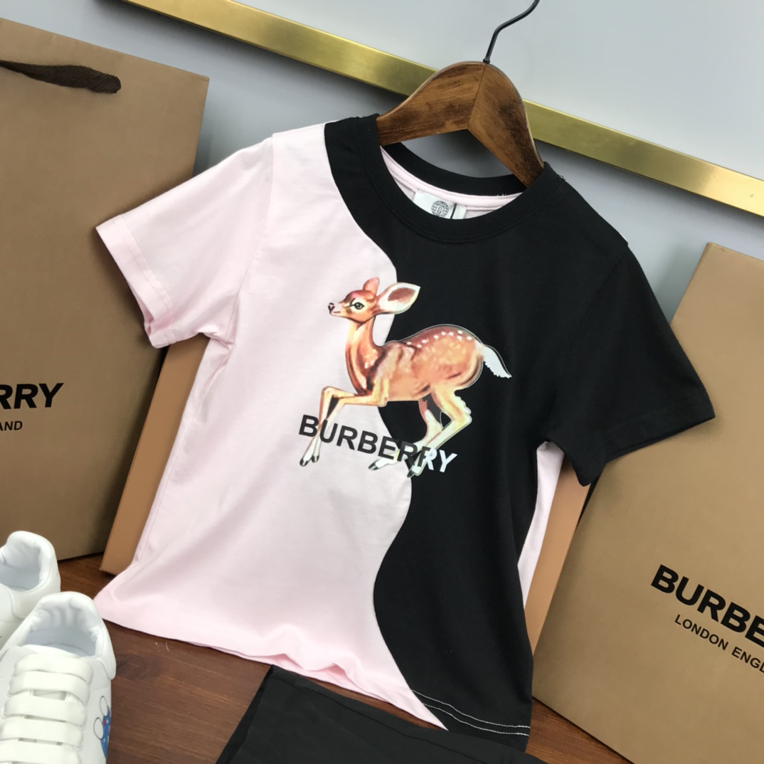 Burberry 2022 New Children T-shirt and Shorts Set