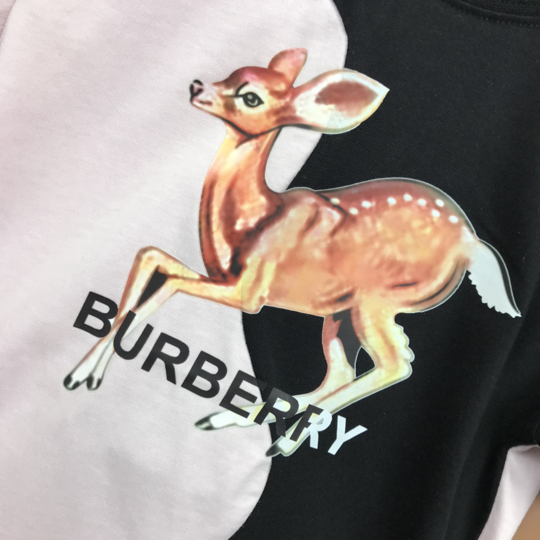 Burberry 2022 New Children T-shirt and Shorts Set