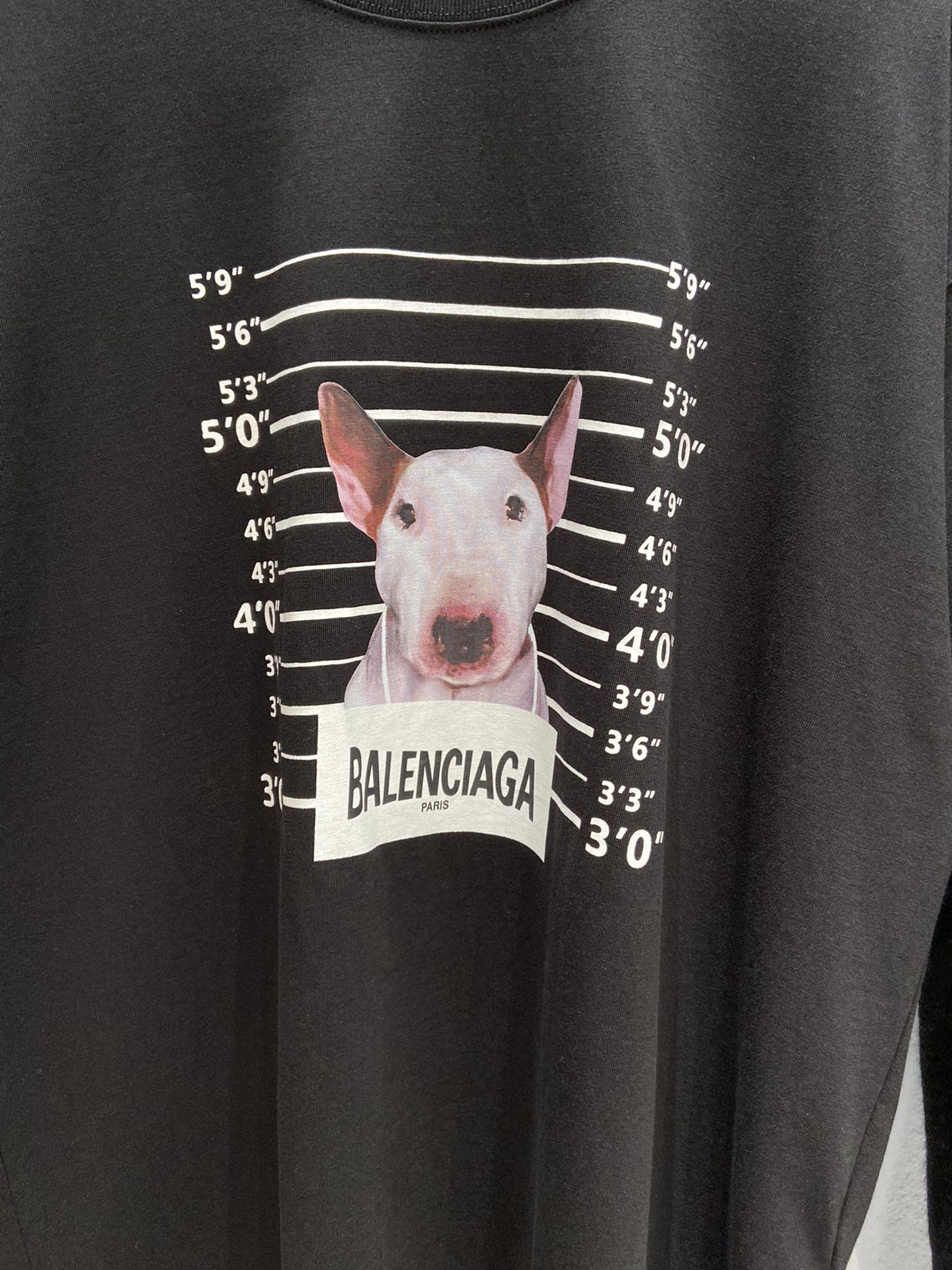 Balenciaga T-Shirt Printed in Black