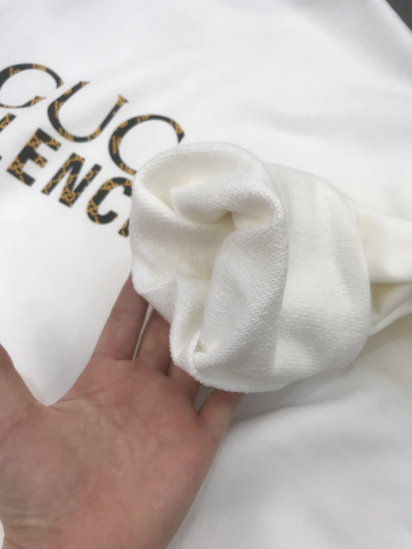 Balenciaga & Gucci Sweatshirt in White