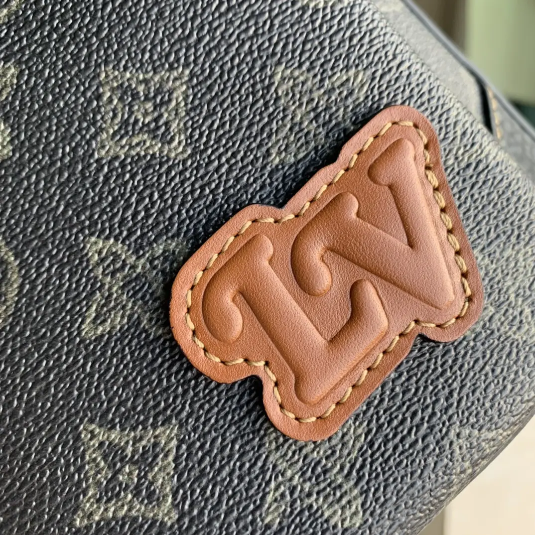 Louis Vuitton 2022 new sling bag