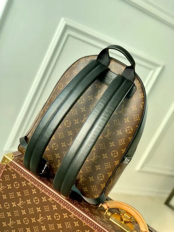 Louis Vuitton 2022 new sling bag