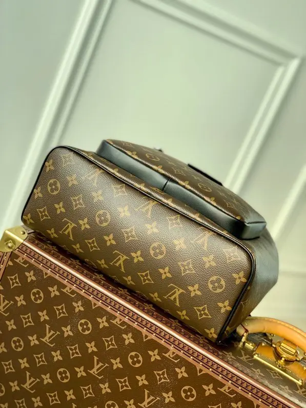 Louis Vuitton 2022 new sling bag